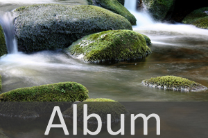 Fluss & Bach & See